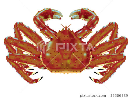 King crab 33306589
