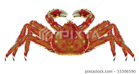King crab 33306590