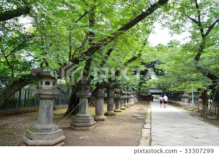 Ishigaki lined along the approach of Ueno Toshogu Shrine Ishigaki lined along the approach of Ueno Toshogu Shrine 33307299