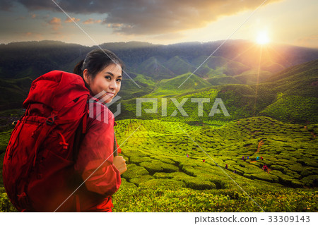 Asian lady backpack and travel the green tea plant in Cameron hi 33309143