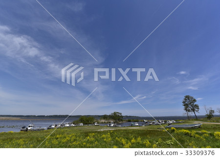 Lake Ogawara in fine weather 33309376