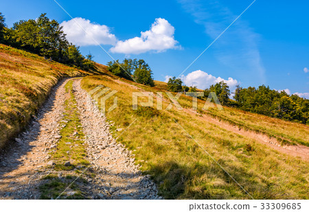 mountain road through hillside with beech forest mountain road through hillside with beech forest 33309685