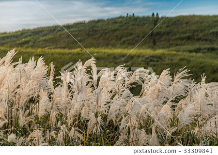 People waiting for sunset 33309841