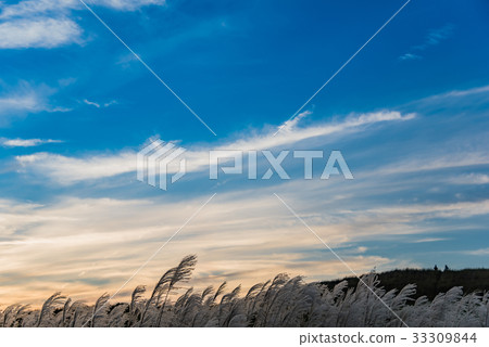 等待日落的人們 33309844