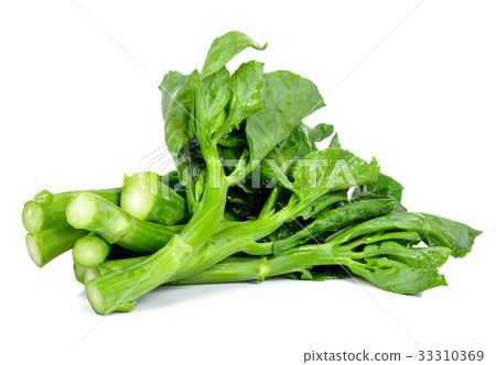 Kale vegetable isolated on the white background Kale vegetable isolated on the white background 33310369