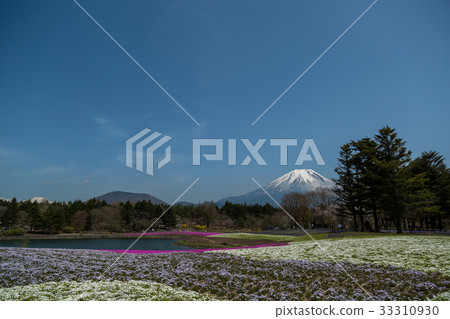 富士山和蘑菇 33310930