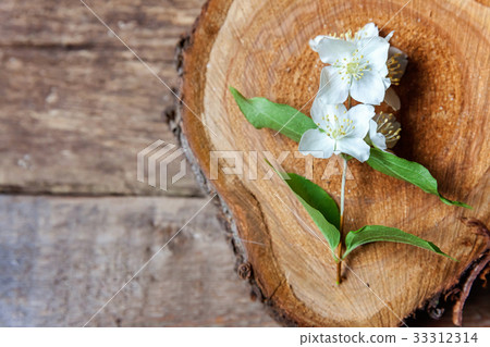 Jasmine on a wooden table 33312314