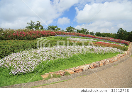 Summer flower bed 33312738