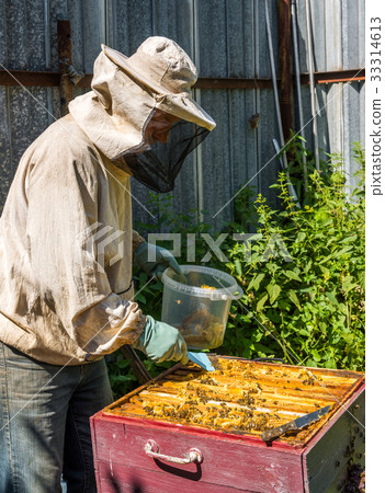 The beekeeper takes out the honeycomb from hive 33314613
