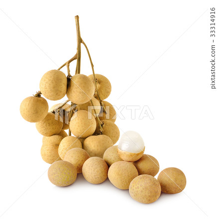 longan on white background longan on white background 33314916