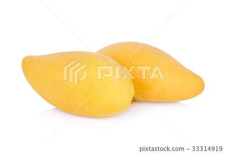 King of fruits;  yellow Mango fruit duo isolated  33314919