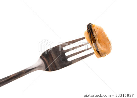 Mussels sea food isolated 33315957