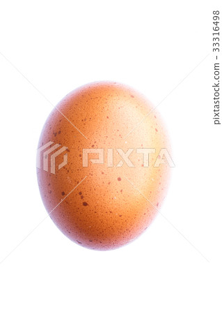 Single chicken egg  33316498
