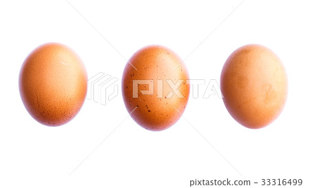 chicken egg chicken egg 33316499