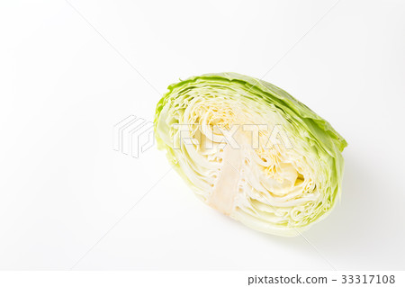 捲心菜 33317108