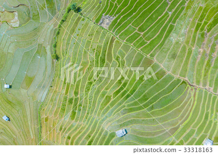 Aerial top view photo from flying drone of green Aerial top view photo from flying drone of green 33318163