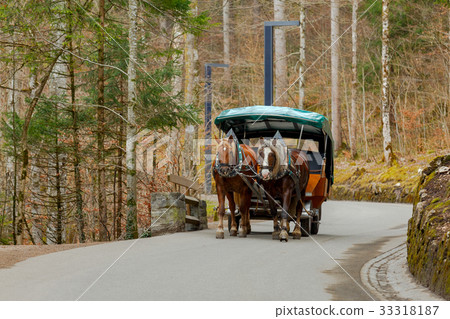 Bavaria. A twin horse-drawn cart. Bavaria. A twin horse-drawn cart. 33318187