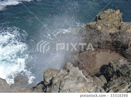 龍宮的嗡嗡聲 33318398