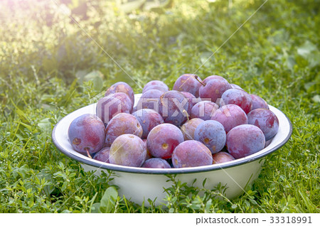 plums in bowl plums in bowl 33318991