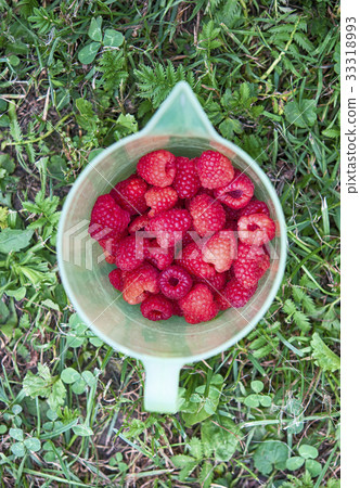 ripe strawberries ripe strawberries 33318993