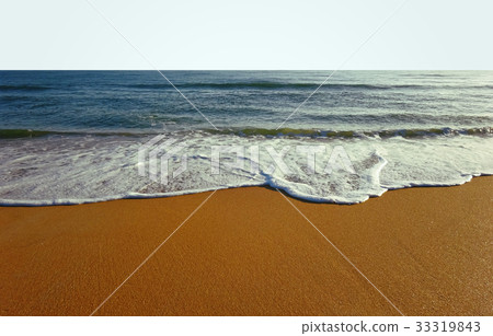 Sandy Beach and Wave 33319843