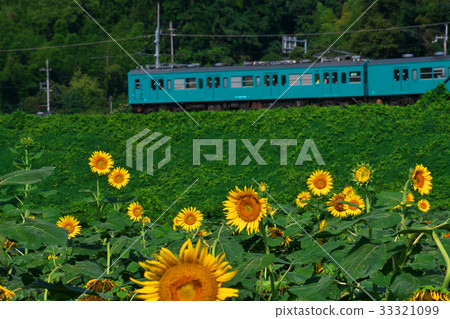 向日葵花園和藍色火車Gojo向日葵花園上野町，五島市，奈良縣 33321099