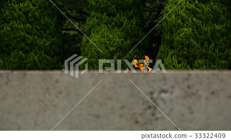 和平之光 33322409