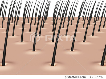 Scalp hair zoom Scalp hair zoom 33322792