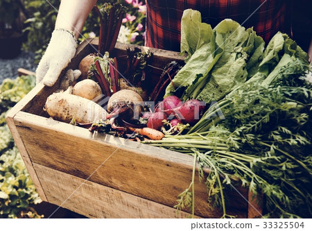 Gardener with organic fresh agricultural product 33325504