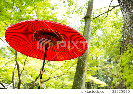 Japanese red umbrella 33325950