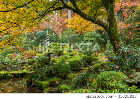 Japanese garden with autuman maple tree 33326828