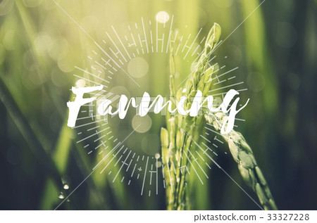 Alternative Farming Sustainable Nature Concept Alternative Farming Sustainable Nature Concept 33327228