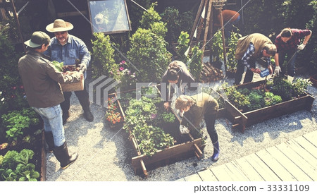 Group of people gardening backyard together 33331109