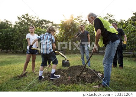 Group of people plant a tree together outdoors 33331204