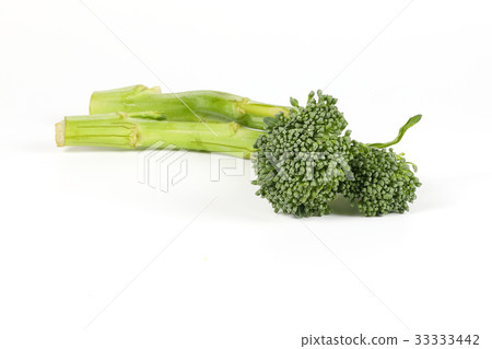 Green Baby Broccol 33333442