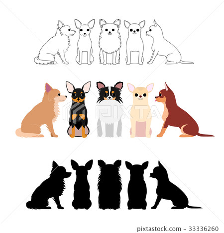 奇瓦瓦集團全身定 33336260