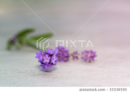 Lavender flowers on concrete table Lavender flowers on concrete table 33336593