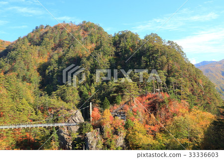 日光瀨戶峽谷在秋天 33336603