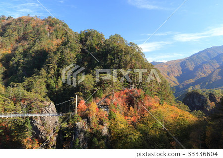 日光瀨戶峽谷在秋天 33336604