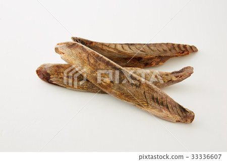 金槍魚科 金槍魚科 33336607