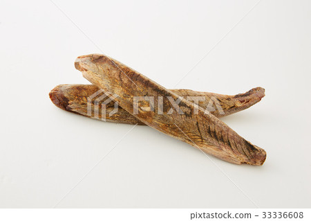 金槍魚科 金槍魚科 33336608
