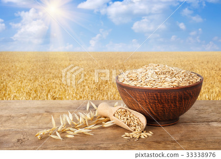oat grains in bowl oat grains in bowl 33338976