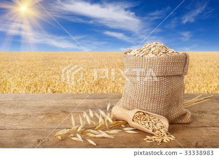 oatmeal in bag on nature background oatmeal in bag on nature background 33338983