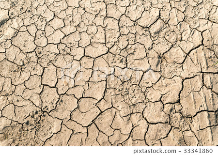 Moisture deficient rough skin image 33341860