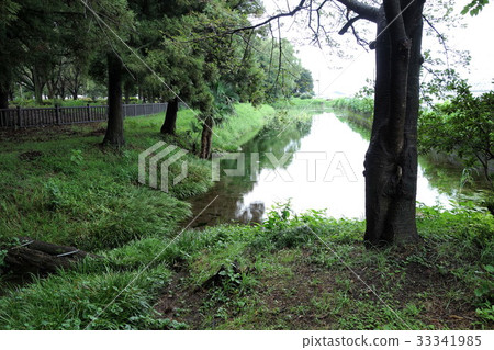 螢火蟲村公園/ Yatakami水源 33341985