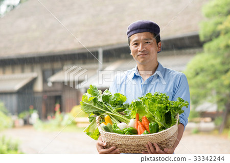 Agriculture Middle Male Vegetable Farmhouse Slow Life Image 33342244