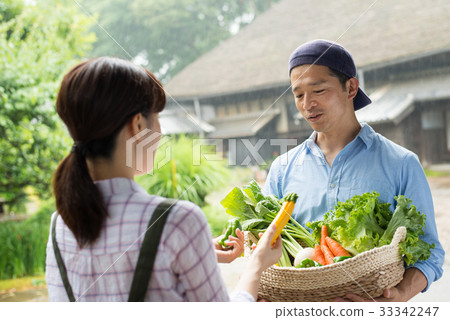 Agriculture Middle couple vegetable farmer image 33342247