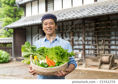 Agriculture Middle Male Vegetable Farmhouse Slow Life Image 33342259