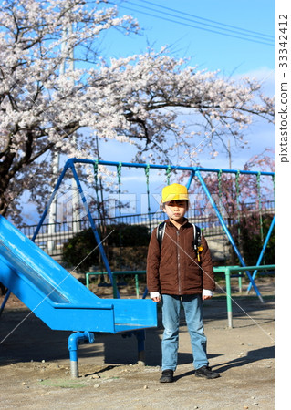 A tense new student in a park with cherry blossoms 33342412