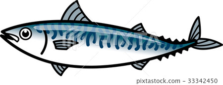 Mackerel - Stock Illustration [33342450] - Pixta